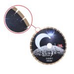 Lunar Disco Granito Per Fresa A Ponte Dettaglio