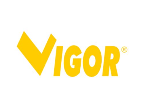 Logo Vigor