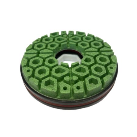 Mole Lucidacoste Beehive Attacco A Chiocciola