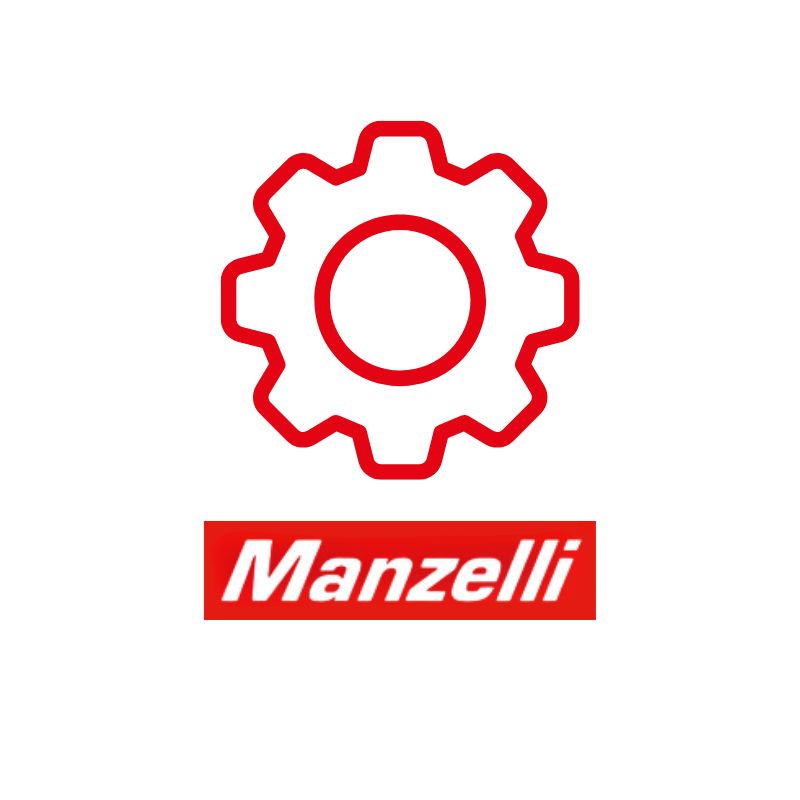 Ricambi Manzelli